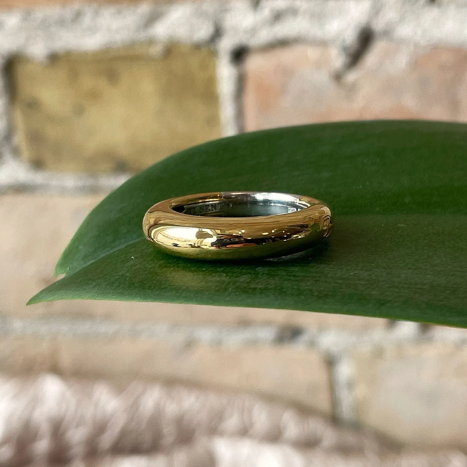 Domed Band
