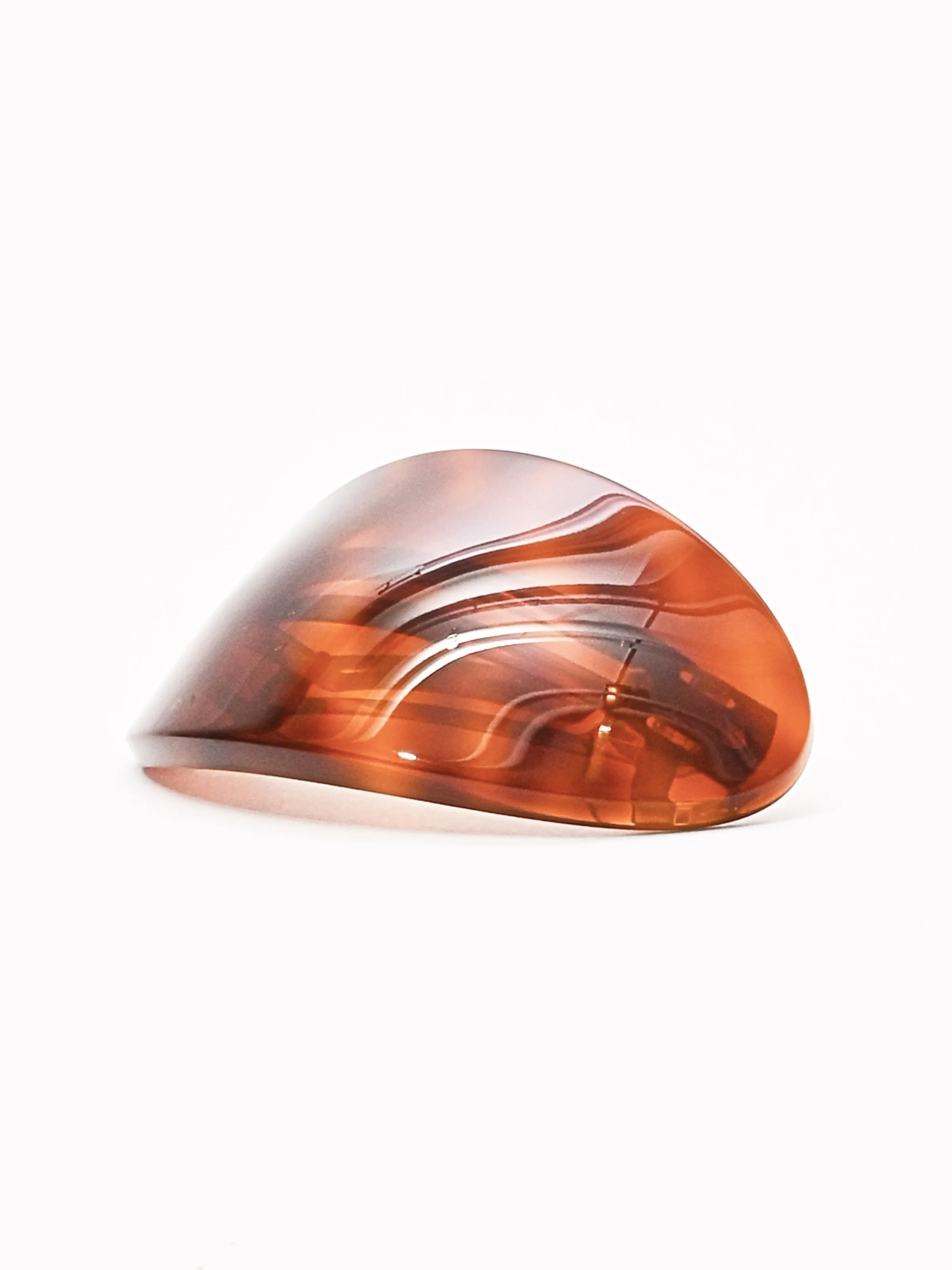 Tortoise Coupole Clip